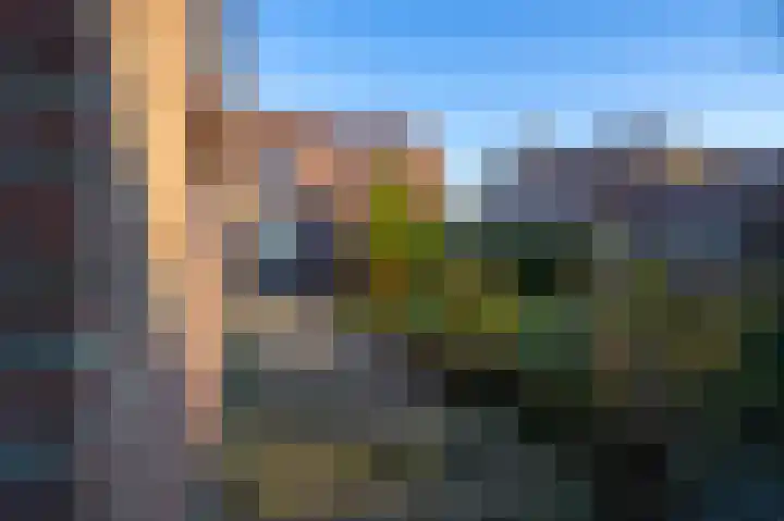 Lambertweg 26 De Rips thumbnail 42