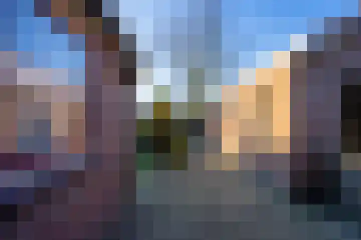 Lambertweg 26 De Rips thumbnail 48