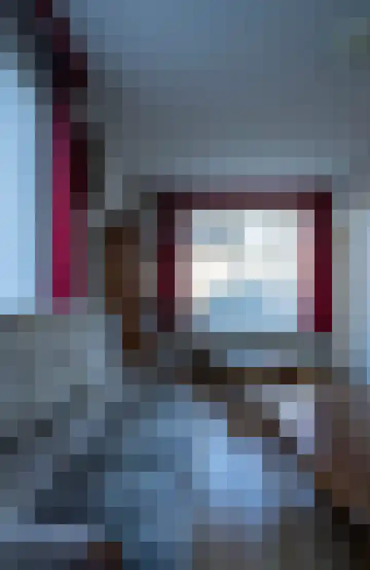 Lambertweg 26 De Rips thumbnail 8