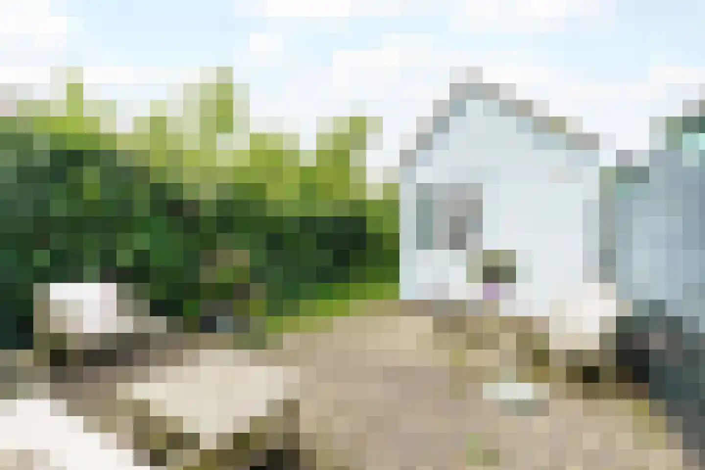 Lambrecht van Dalelaan 19 Haarlem thumbnail 18
