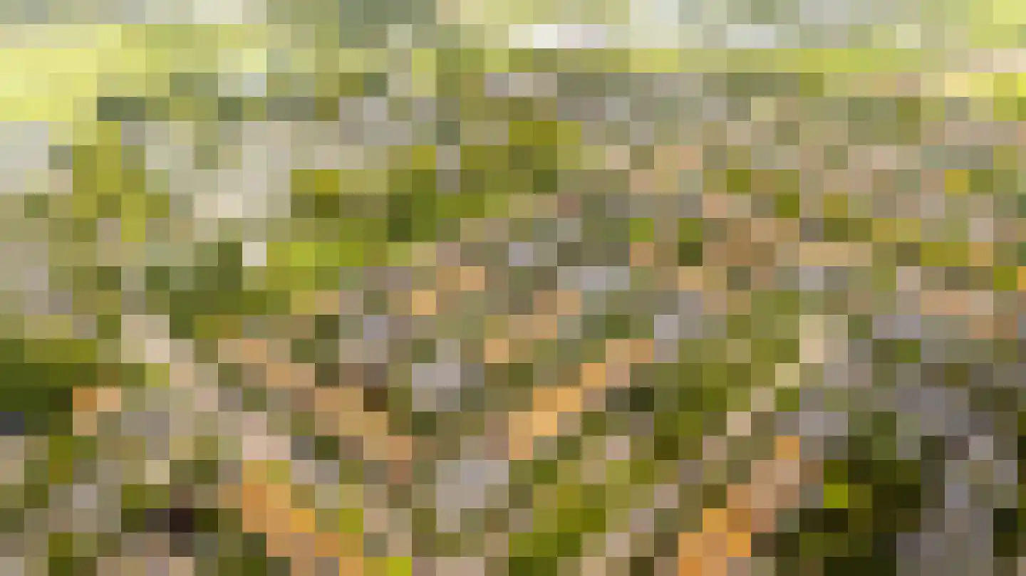 Lambrecht van Dalelaan 19 Haarlem thumbnail 36