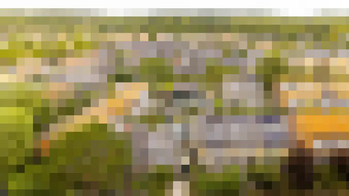 Lambrecht van Dalelaan 19 Haarlem thumbnail 37