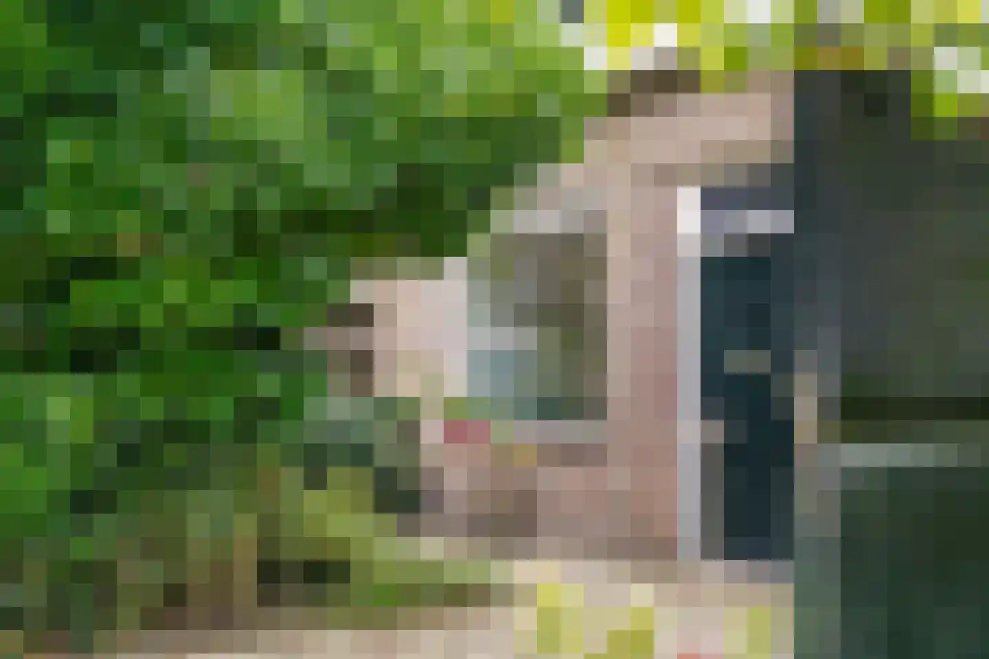 Lambrecht van Dalelaan 19 Haarlem thumbnail 7