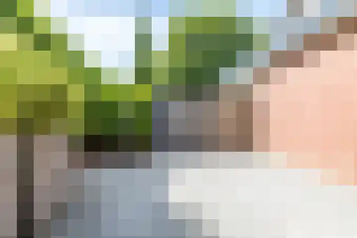 Lambrechtsstraat 1 Voerendaal thumbnail 37