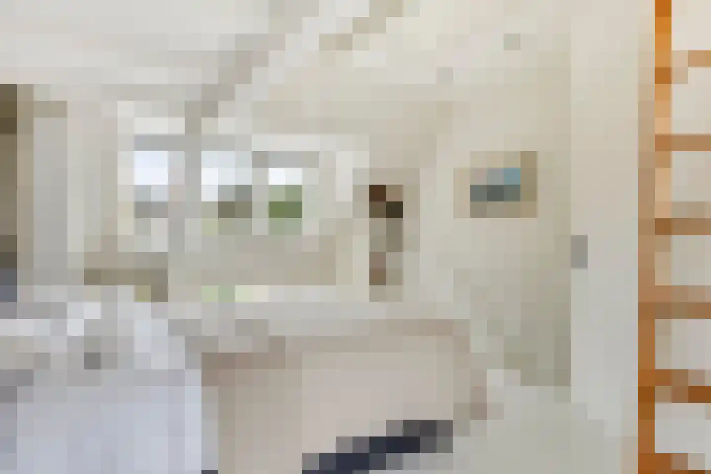 Lambrechtstraat 18 Middelburg thumbnail 13