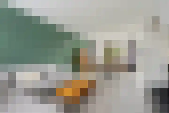 Lambrechtsveld 41 Valkenburg thumbnail 15