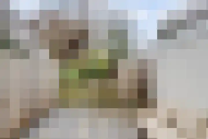 Lambrechtsveld 41 Valkenburg thumbnail 42