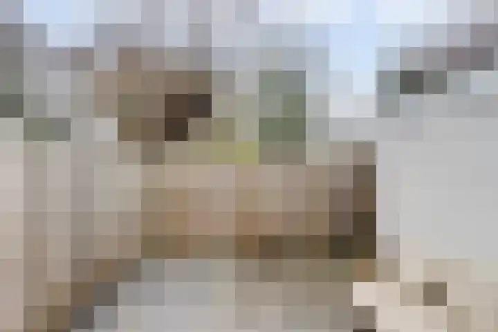 Lambrechtsveld 41 Valkenburg thumbnail 43