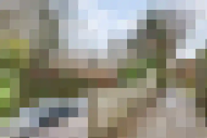 Lambrechtsveld 41 Valkenburg thumbnail 44