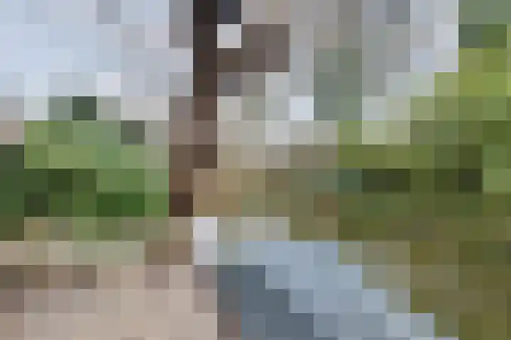 Lambrechtsveld 41 Valkenburg thumbnail 46
