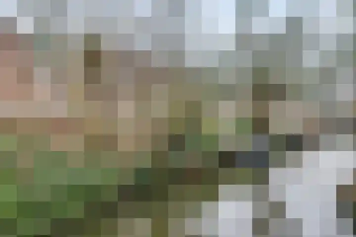 Lambrechtsveld 41 Valkenburg thumbnail 47