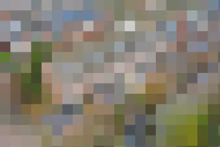 Lambrechtsveld 41 Valkenburg thumbnail 51