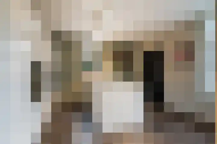Lambroekweg 35 Stramproy thumbnail 16