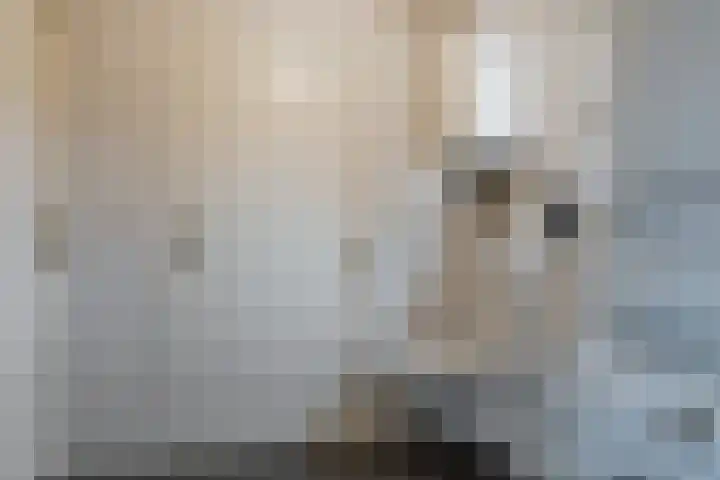 Lambroekweg 35 Stramproy thumbnail 18
