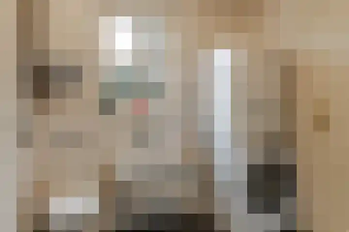 Lambroekweg 35 Stramproy thumbnail 19