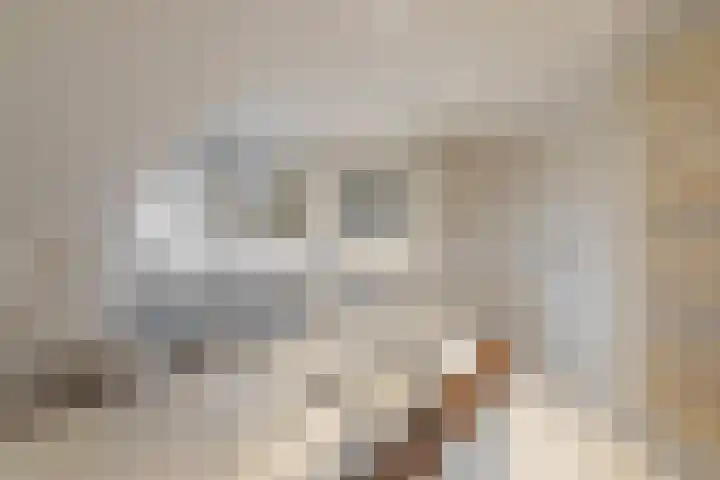 Lambroekweg 35 Stramproy thumbnail 32