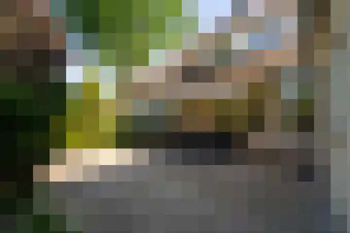 Lambroekweg 35 Stramproy thumbnail 35