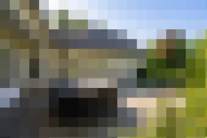Lambroekweg 35 Stramproy thumbnail 36
