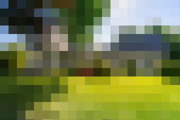 Lambroekweg 35 Stramproy thumbnail 41