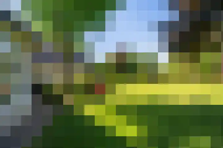 Lambroekweg 35 Stramproy thumbnail 42