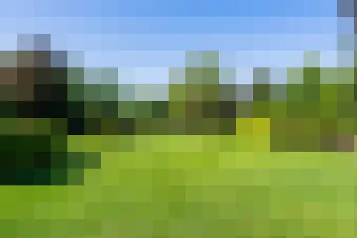 Lambroekweg 35 Stramproy thumbnail 44
