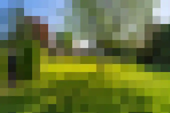 Lambroekweg 35 Stramproy thumbnail 45