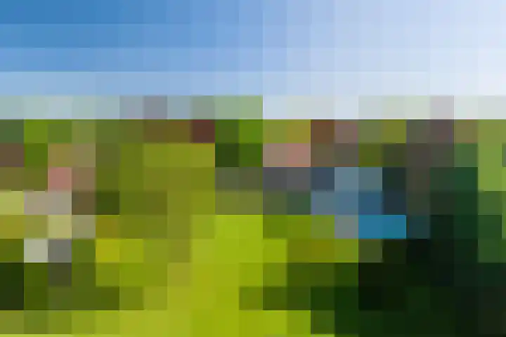 Lambroekweg 35 Stramproy thumbnail 46