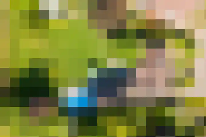 Lambroekweg 35 Stramproy thumbnail 47