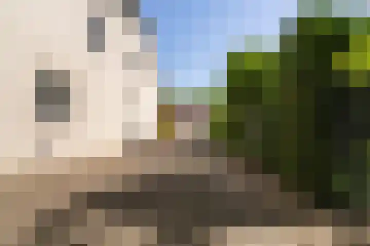 Lambroekweg 35 Stramproy thumbnail 49