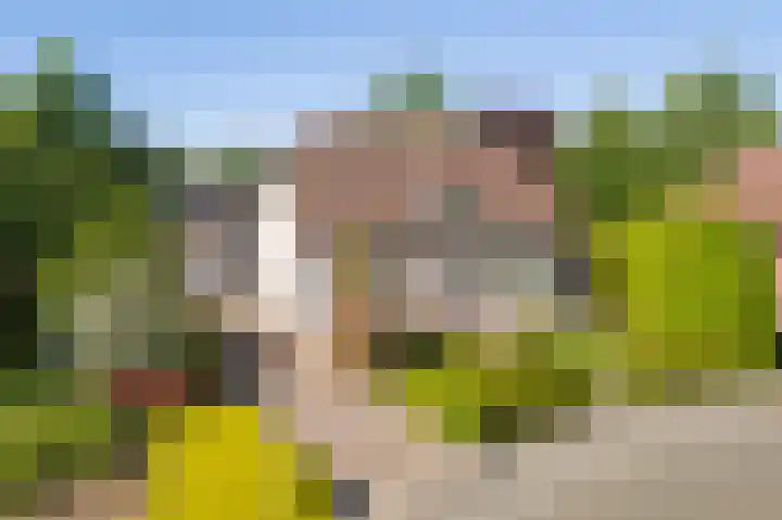 Lambroekweg 35 Stramproy thumbnail 55