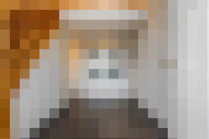 Lambroekweg 35 Stramproy thumbnail 8