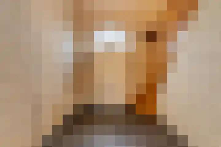 Lambroekweg 35 Stramproy thumbnail 9
