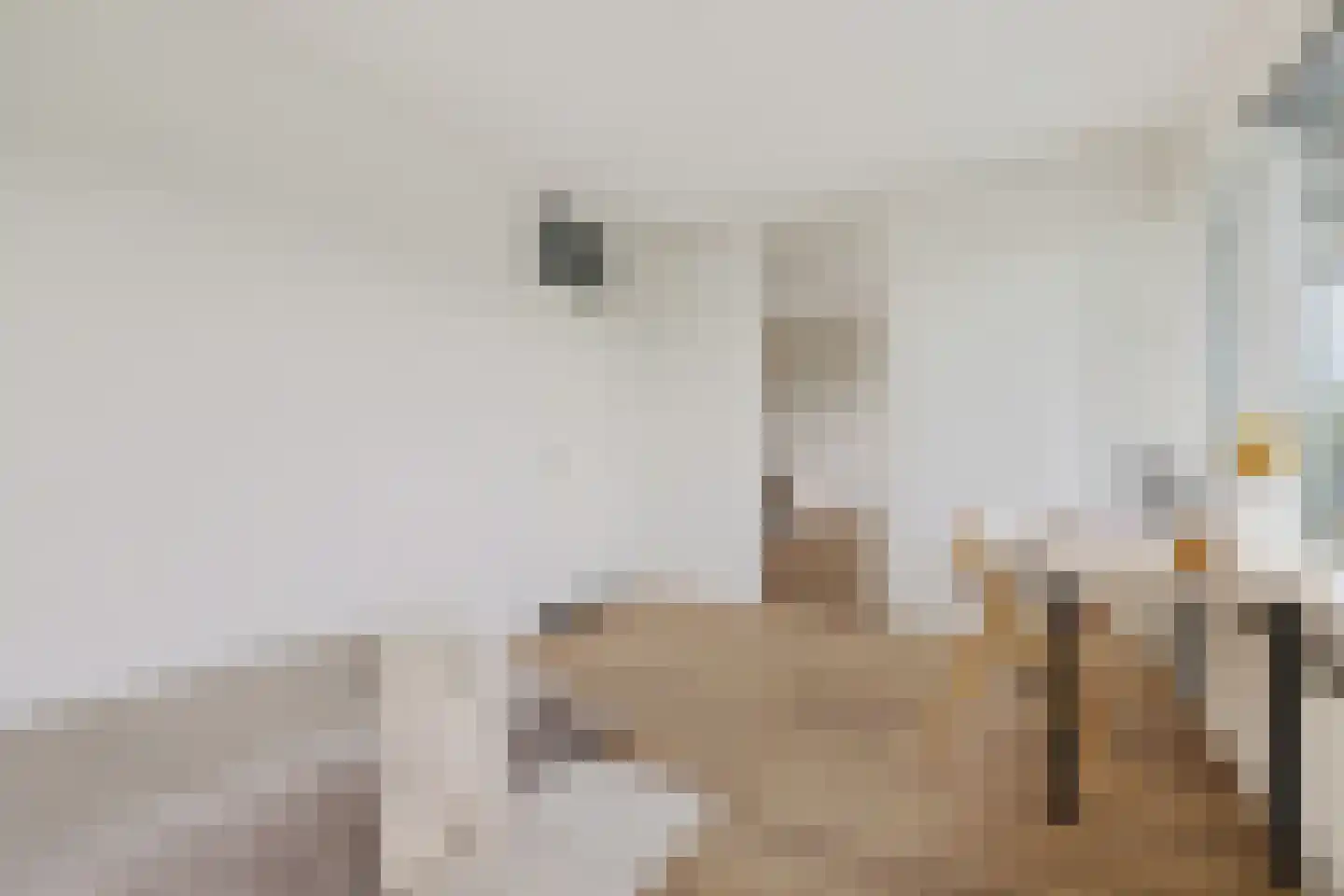 Lamérislaan 16 Utrecht thumbnail 17