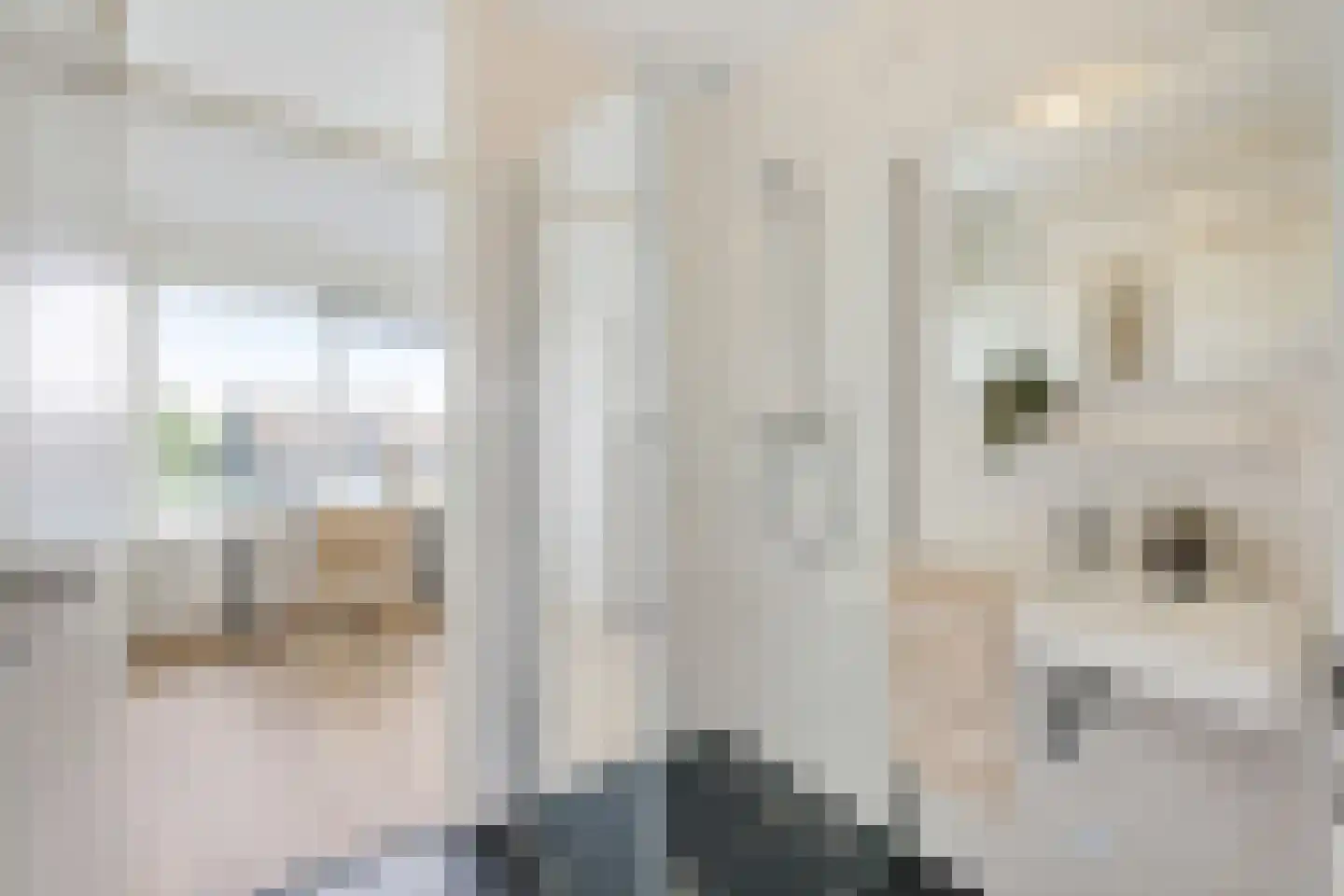 Lamérislaan 16 Utrecht thumbnail 18