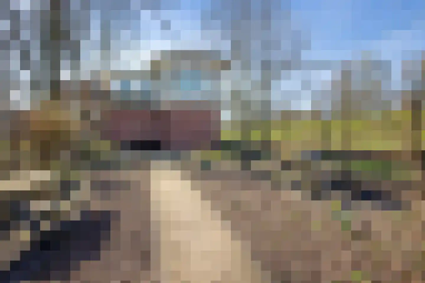 Lamérislaan 16 Utrecht thumbnail 25