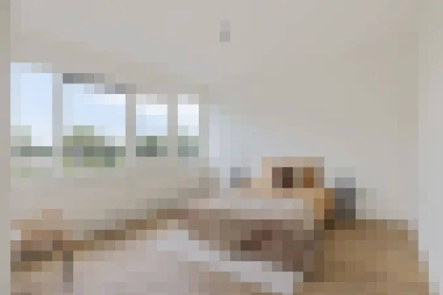 Lamérislaan 16 Utrecht thumbnail 9