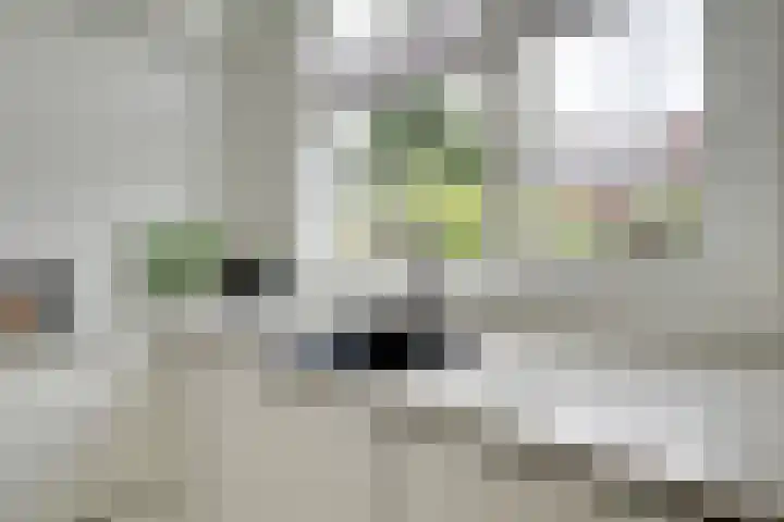 Lamérislaan 41 Utrecht thumbnail 12