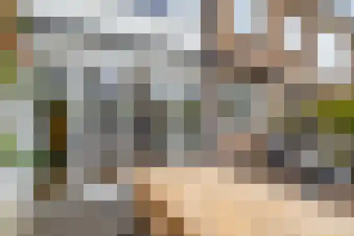 Lamérislaan 41 Utrecht thumbnail 15