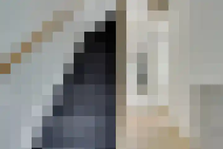 Lamérislaan 41 Utrecht thumbnail 18