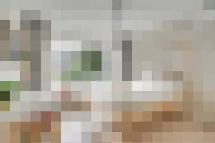 Lamérislaan 41 Utrecht thumbnail 19
