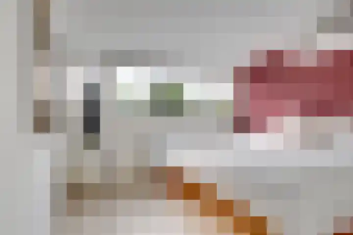 Lamérislaan 41 Utrecht thumbnail 29