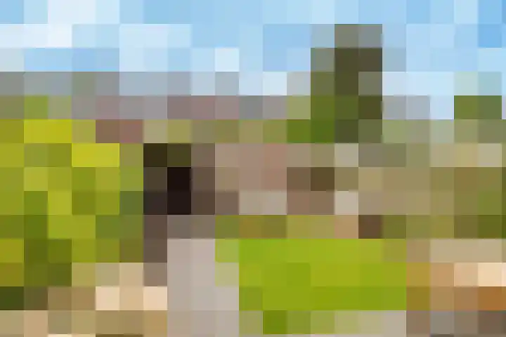 Lamérislaan 41 Utrecht thumbnail 4