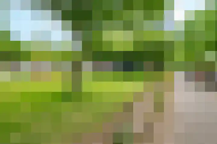 Lamérislaan 41 Utrecht thumbnail 41