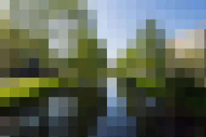Lamérislaan 41 Utrecht thumbnail 47