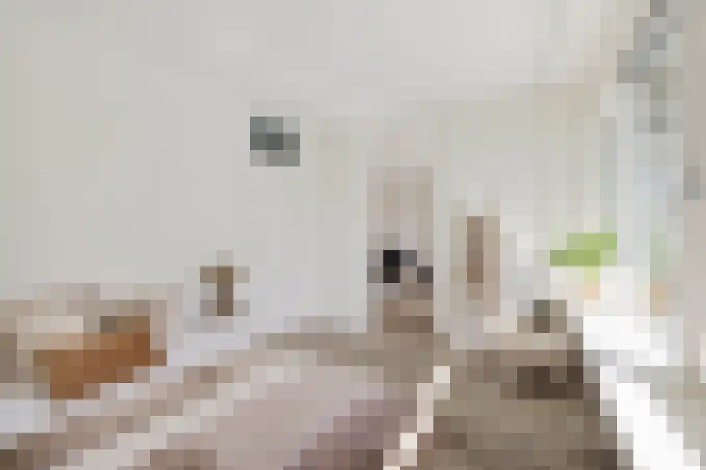 Lamérislaan 444 Utrecht thumbnail 12