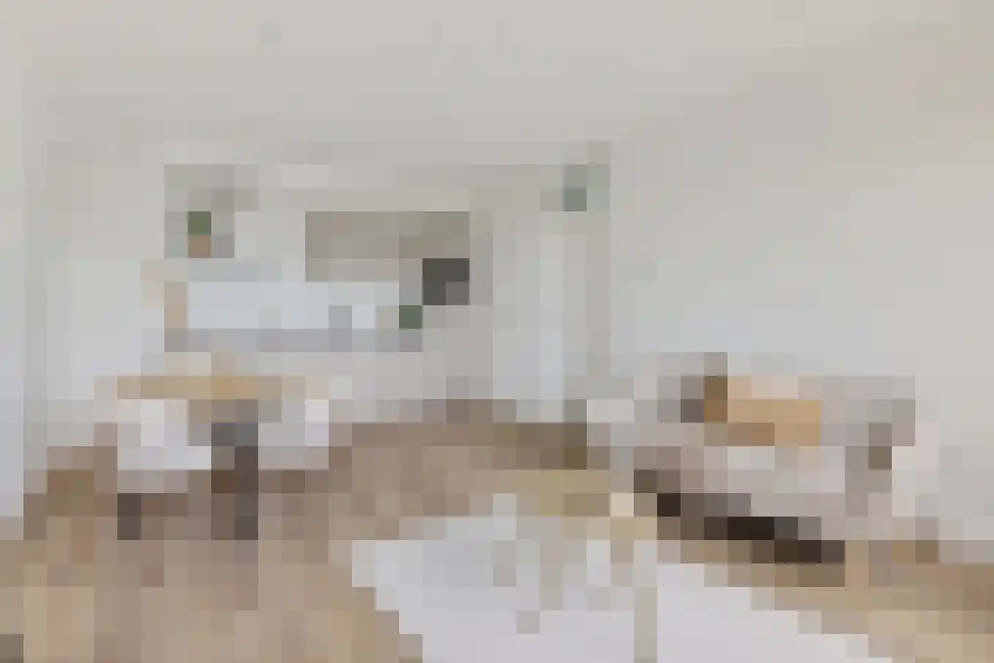 Lamérislaan 506 Utrecht thumbnail 9