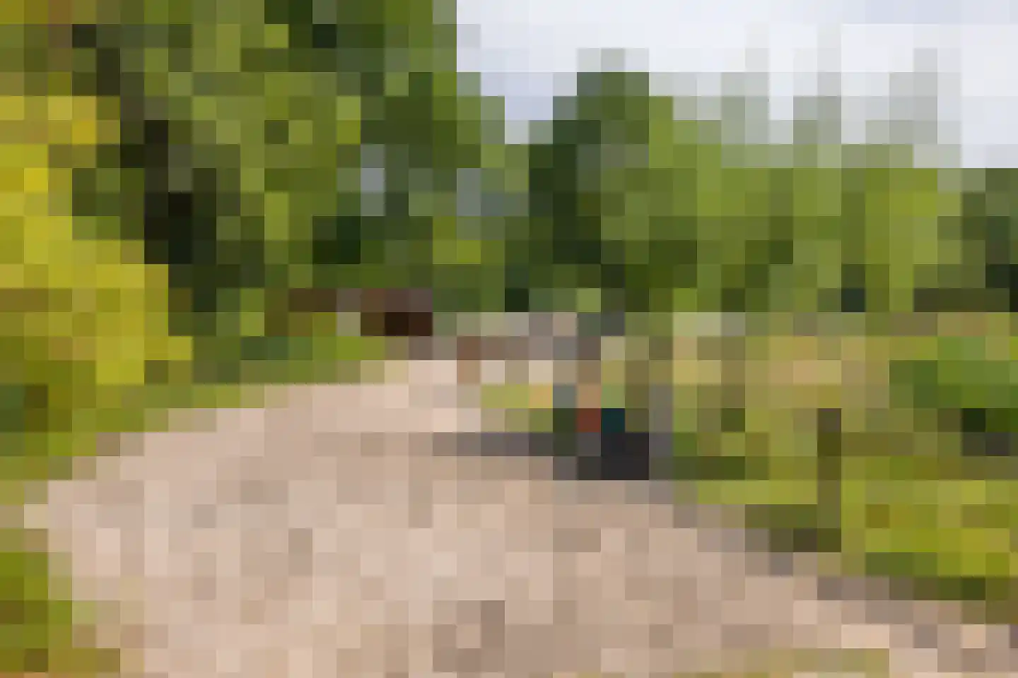 Lamérislaan 508 Utrecht thumbnail 27