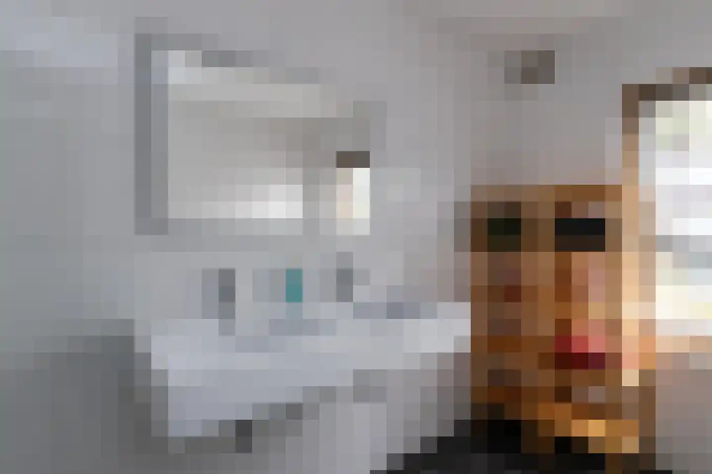 Lamérislaan 67 Utrecht thumbnail 19