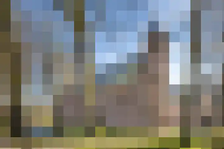 Lamérislaan 74 Utrecht thumbnail 32