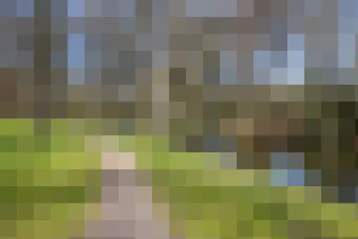 Lamérislaan 92 Utrecht thumbnail 27